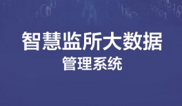 智慧監所大數據管理(lǐ)系統